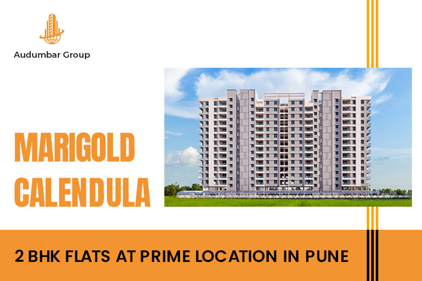 Benefits of Choosing 2 BHK Flats in Pune - Marigold Calendula