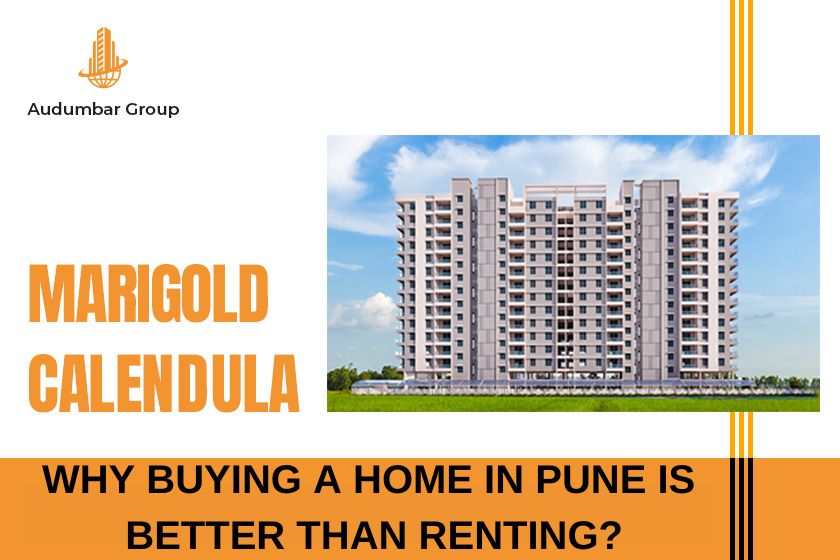 WHY BUYING A HOME IN PUNE IS BETTER THAN RENTING - Marigold Calendula 2 BHK Flats